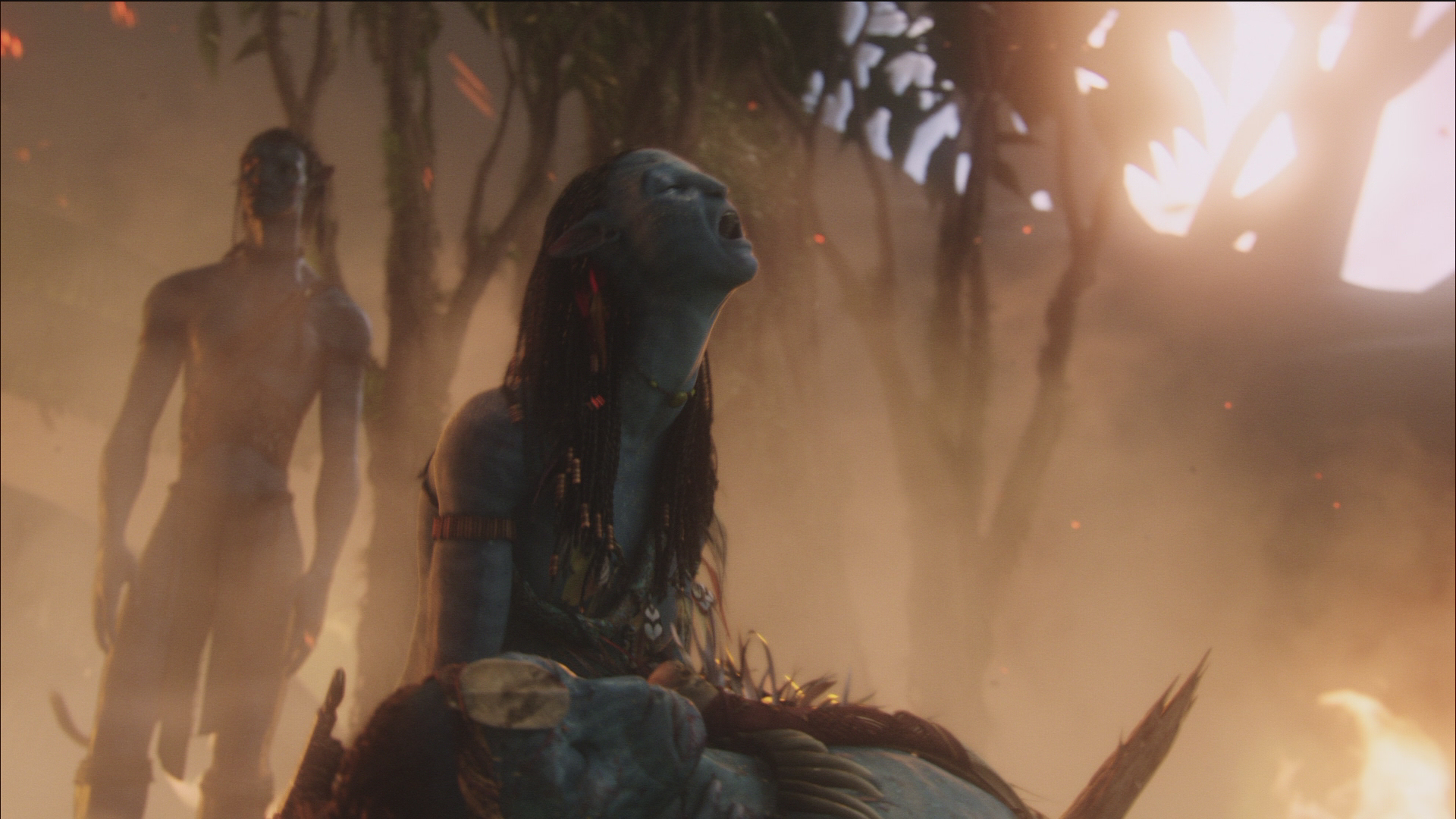 Photo from Avatar
